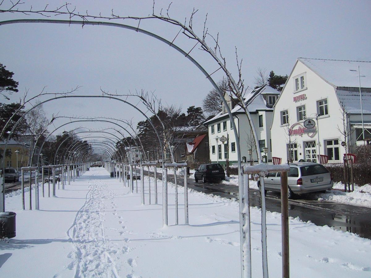 Hotel Strandpavillon Бабе Экстерьер фото